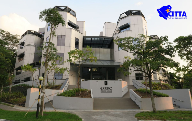 Trường học tại Singapore 
