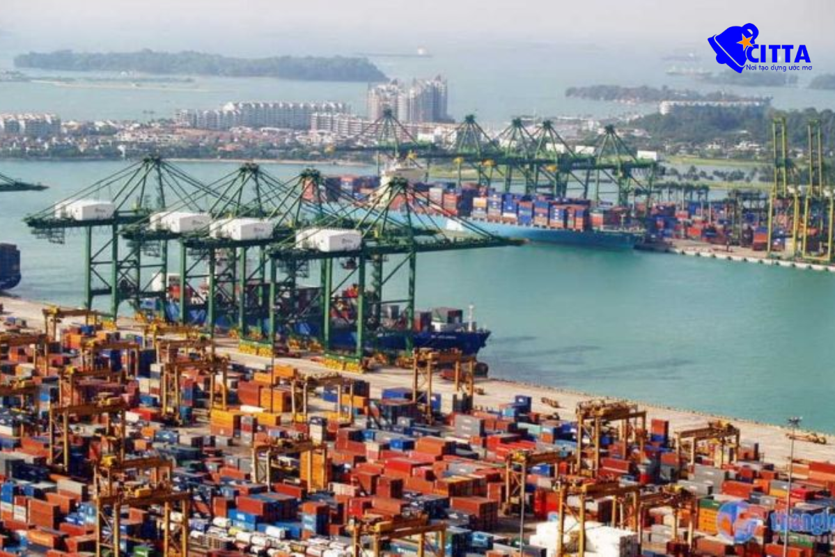 cảng trung chuyển lớn nhất Đông Nam Á với sản lượng container hàng đầu thế giới.
