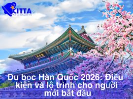 Du học Hàn Quốc 2026: Điều kiện và lộ trình cho người mới bắt đầu