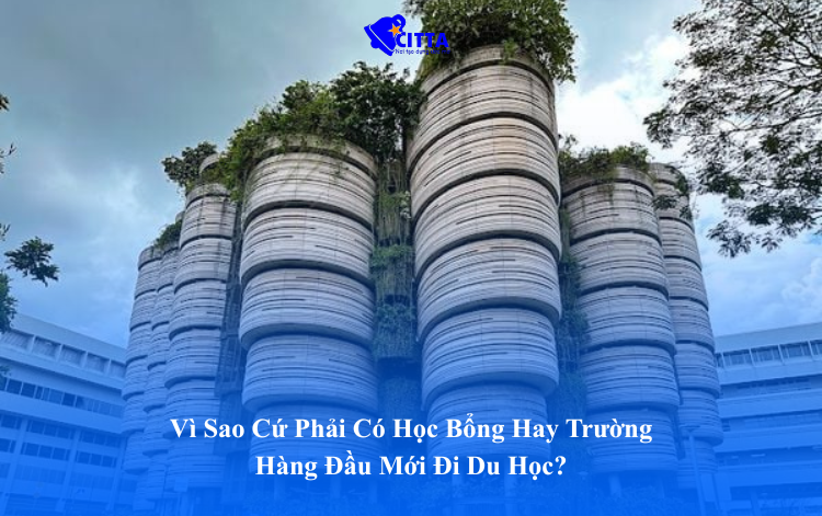 Vì Sao Cứ Phải Có Học Bổng Hay Trường Hàng Đầu Mới Đi Du Học?