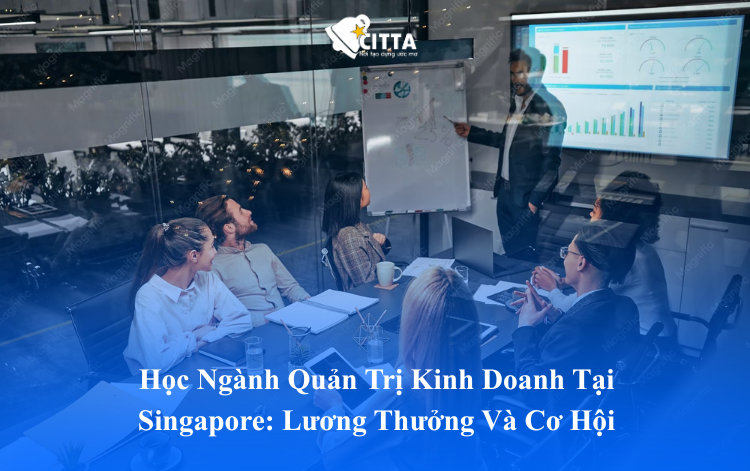 Học Ngành Quản Trị Kinh Doanh Tại Singapore: Lương Thưởng Và Cơ Hội